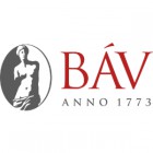 BAV_Corporate_Muker_logo